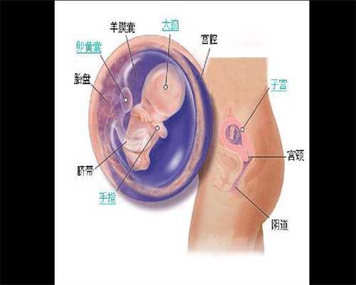 深圳做供卵也不成功_深圳供卵订 坤和助孕_记者调查：为什么做试管婴儿的人越